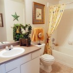 Bristol Oaks Apartment Bathroom